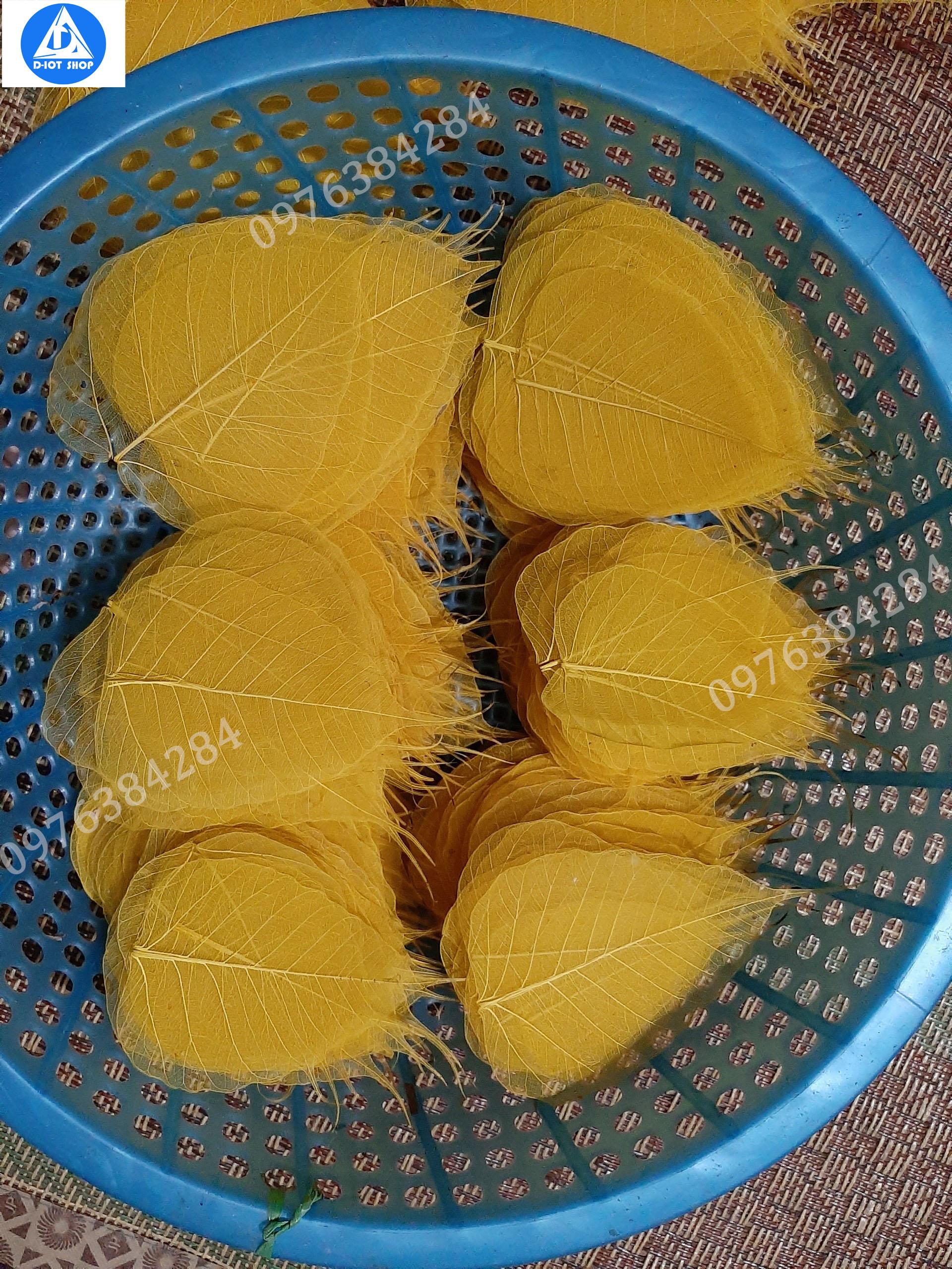 Set 100 lá bồ đề nhuộm vàng to(tặng 5 lá)