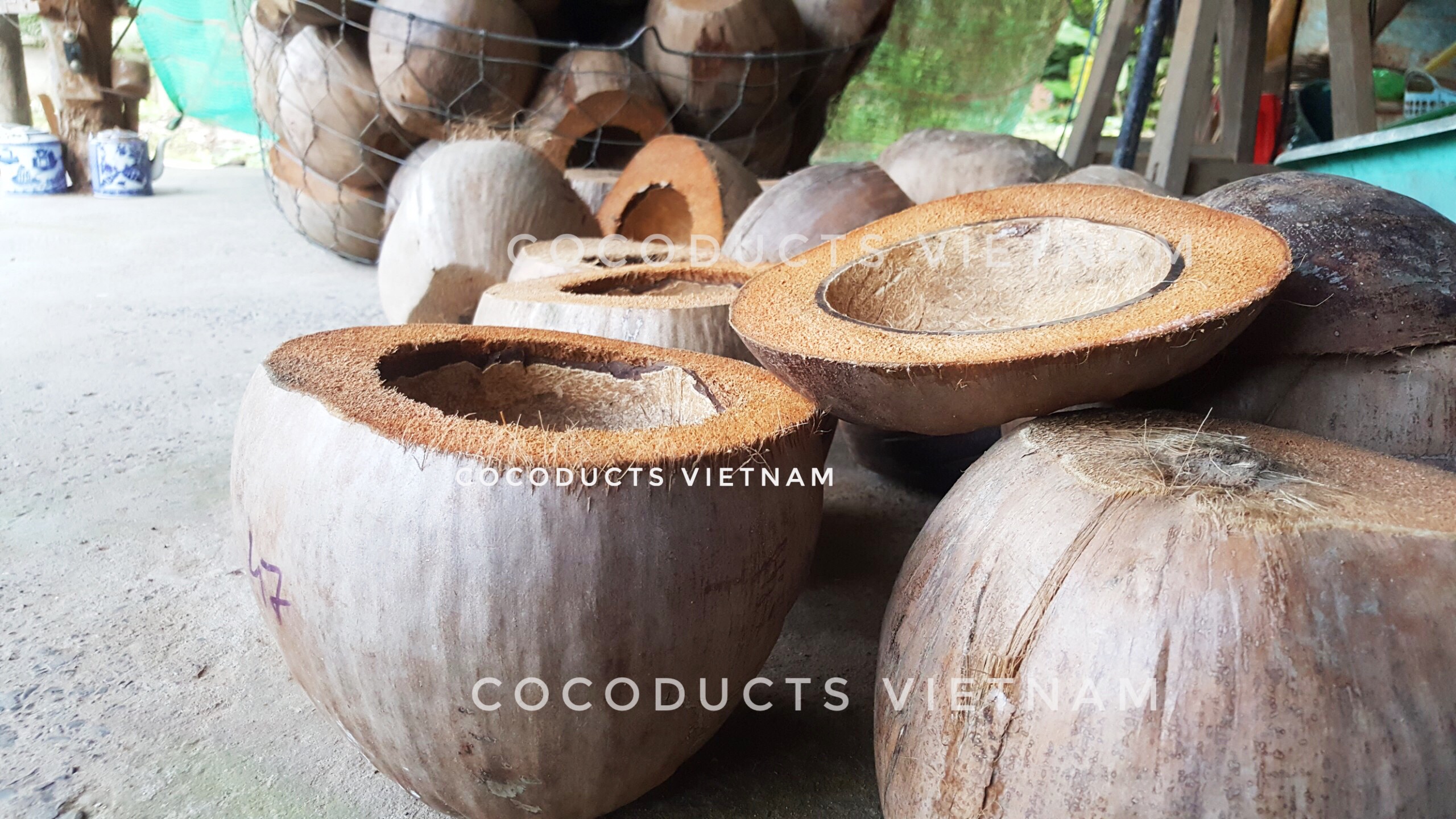 Vỏ bình trà gáo dừa truyền thống
