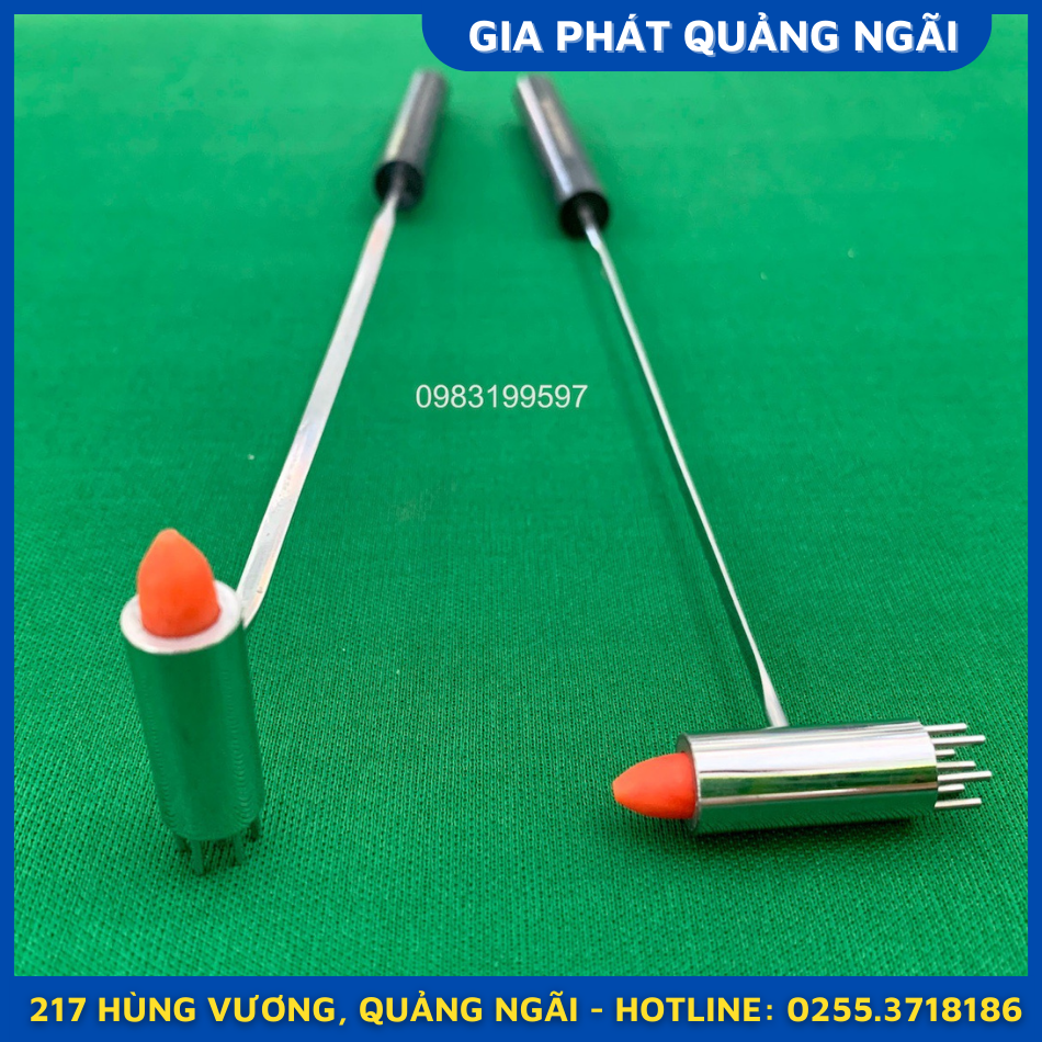 Cây búa gom gai diện chẩn vinamassage gõ huyệt búa hoa mai thất tinh châm y học cổ truyền