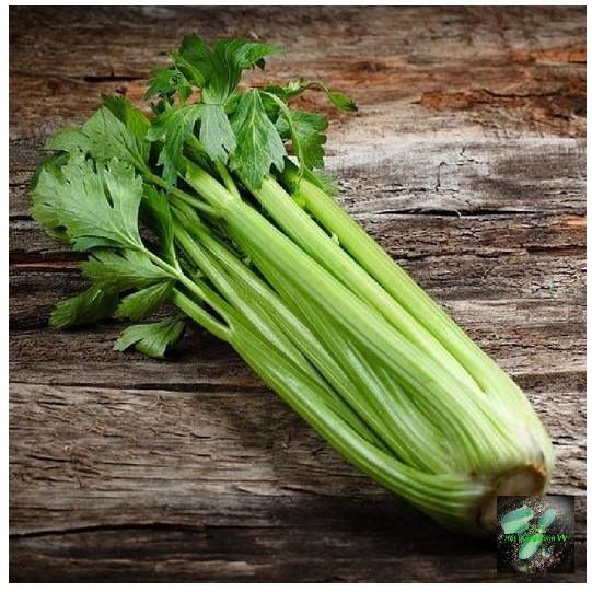 Hạt giống rau cần tây bẹ to RD326, giống cần tây ép nước uống, đóng gói 5gr