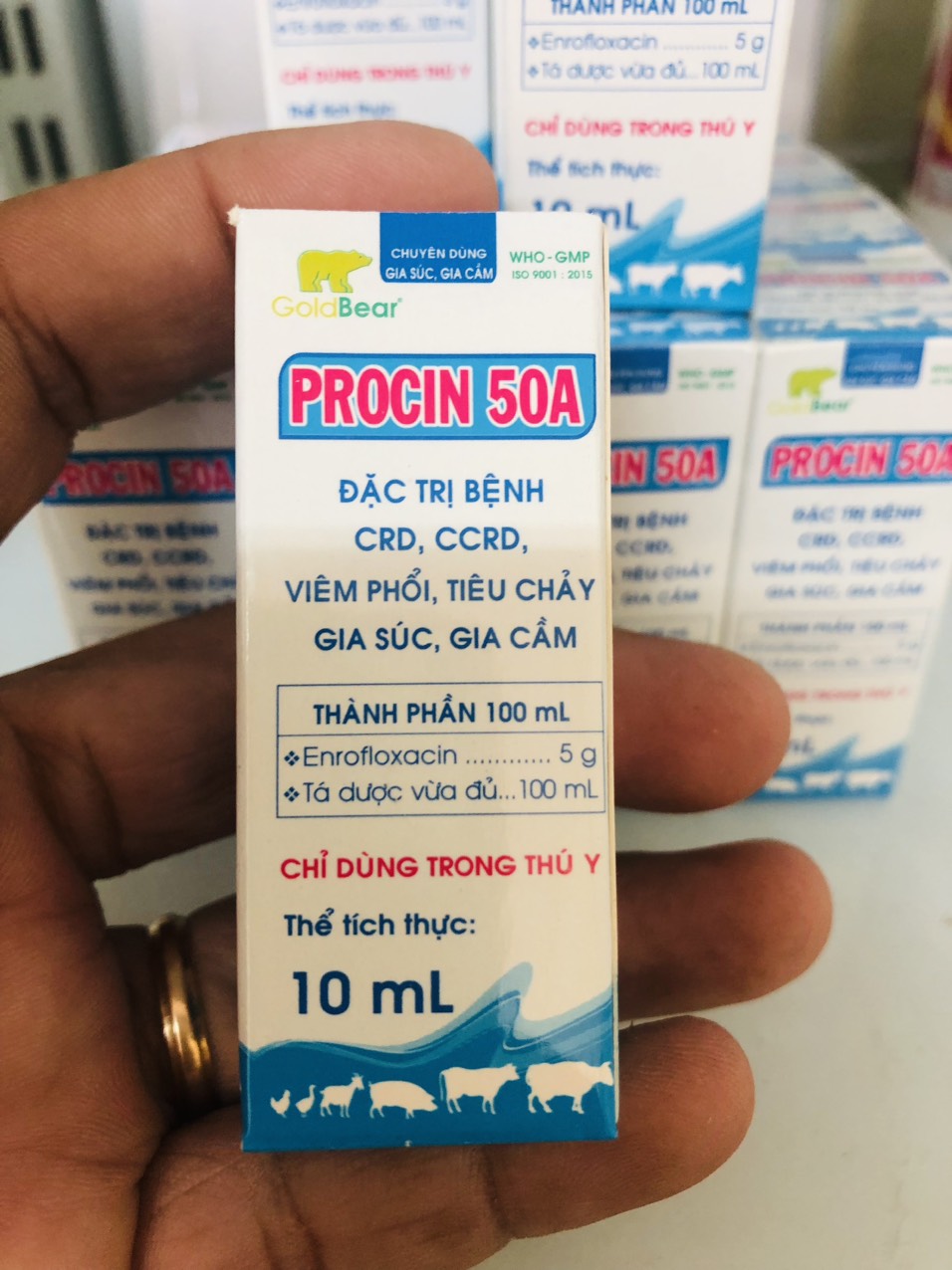 Thuốc gà đá - procin 50 a - cty gấu vàng - combo 5 chai 10 ml