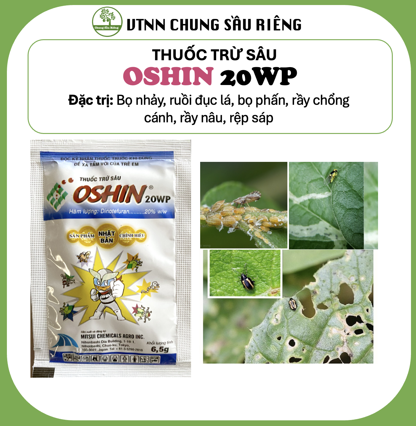 Thuốc trừ sâu OSHIN 20WP đặc trị bọ nhảy, ruồi đục lá, bọ phấn, rầy chồng cánh, rầy nâu, rệp sáp