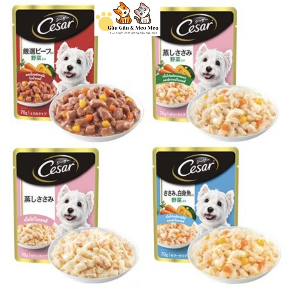 PATE TUYỆT HẢO CESAR CHO CHÓ Gói 70g