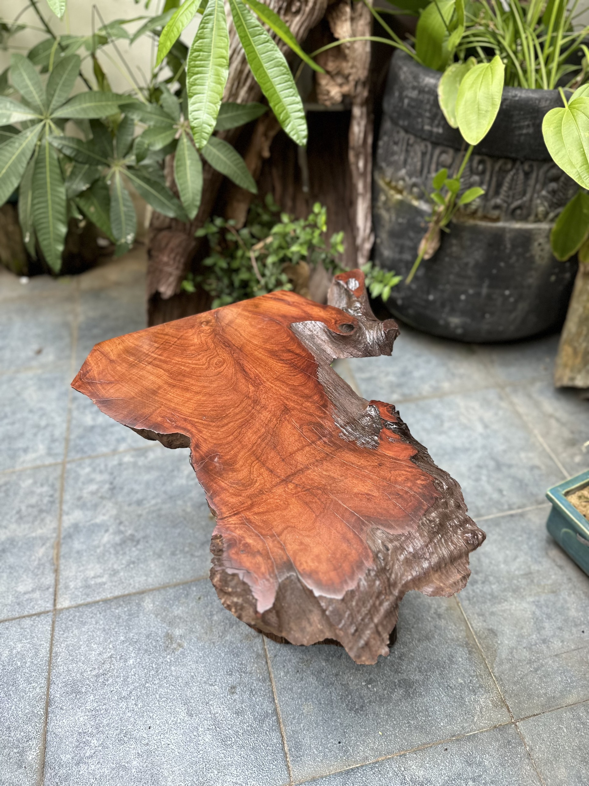 Mặt bàn trà, bàn sofa gỗ tự nhiên dáng độc lạ