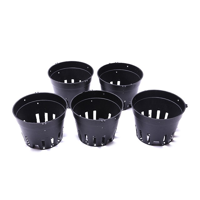 Chậu nhựa đen trồng lan nhiều lỗ phi 18