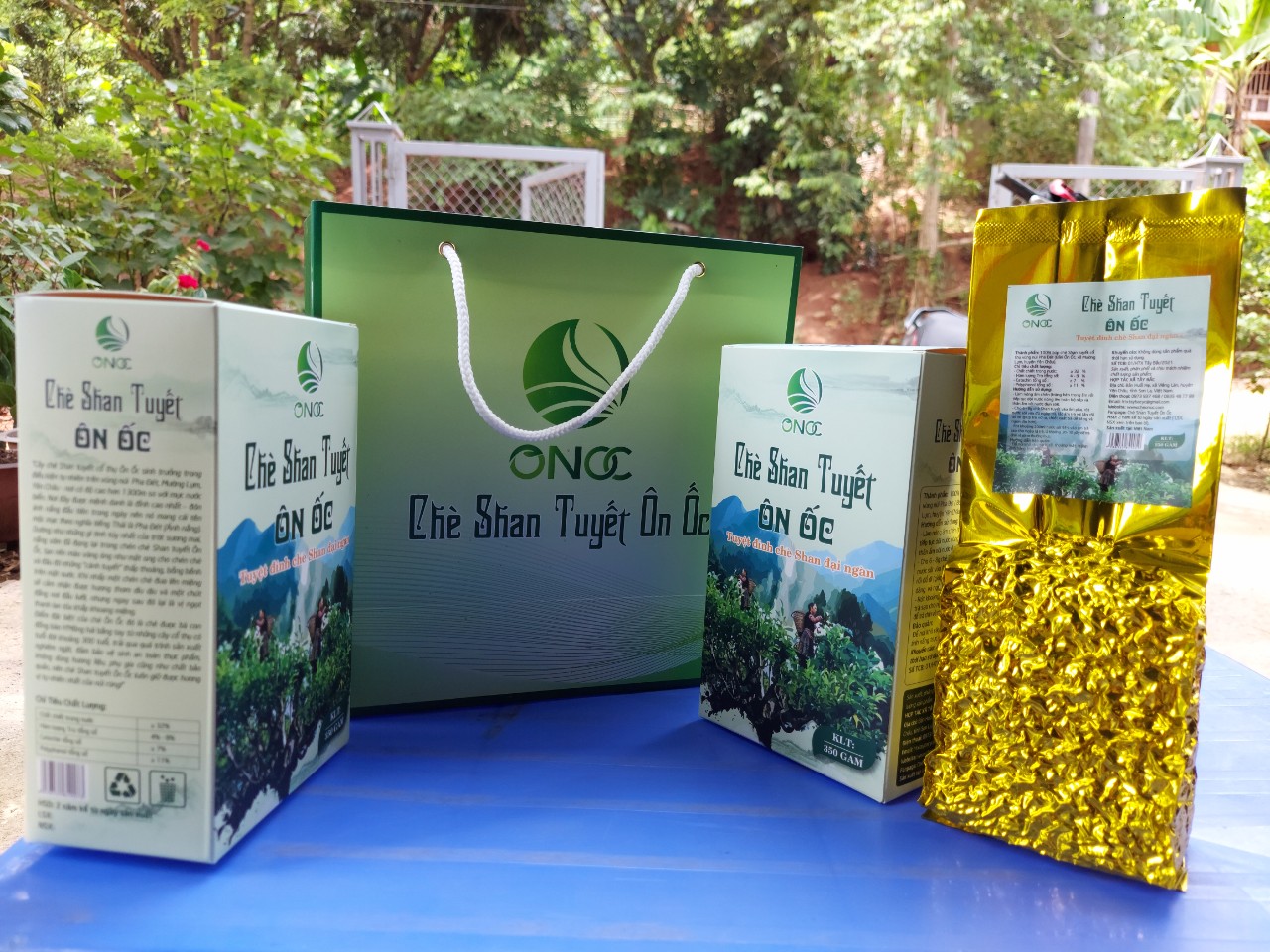 Chè shan tuyết cổ thụ ôn ốc