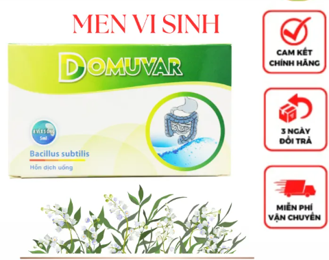 DOMUVAR - MEN VI SINH bố sung lợi khuẩn đường ruột, hỗ trợ hệ tiêu hóa