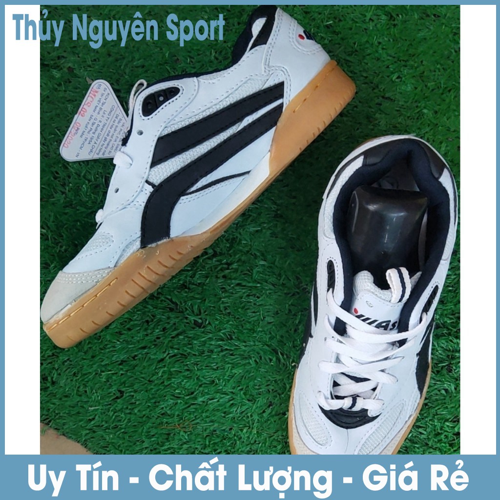 [Siêu Khuyến Mại) Giày Asia,Giày Thể Thao Chơi Cầu Lông, Bóng Chuyền + Tặng Kèm 1 Đôi Tất