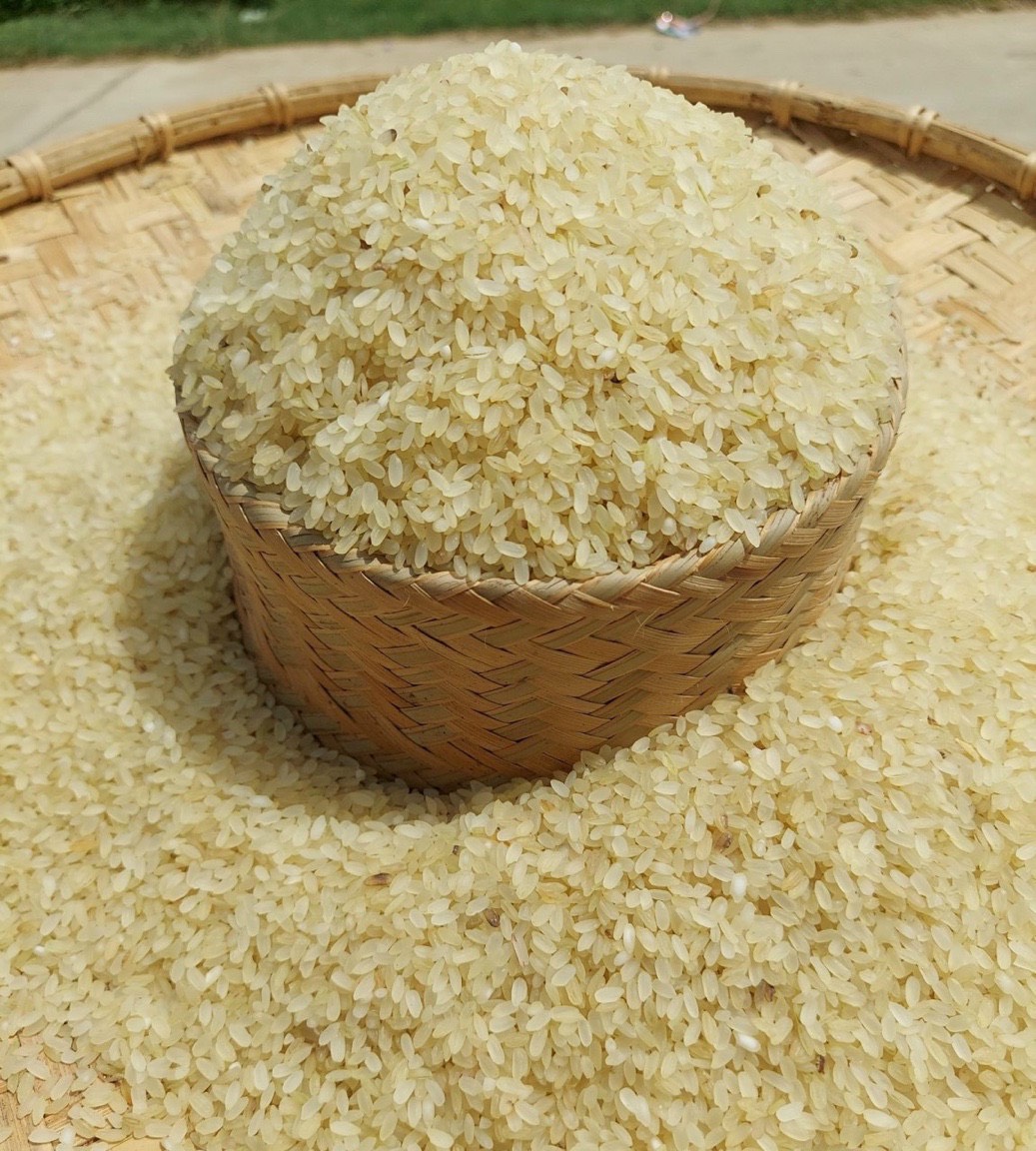 ĐẶC SẢN TÂY BẮC: GẠO KHẨU HANG (gạo đặc sản làm từ lúa nếp non tú lệ yên bái)