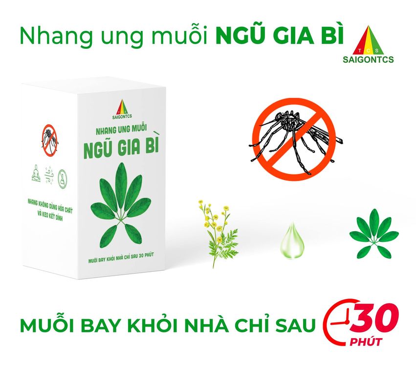 Nhang ung muỗi ngũ gia bì - sài gòn tcs