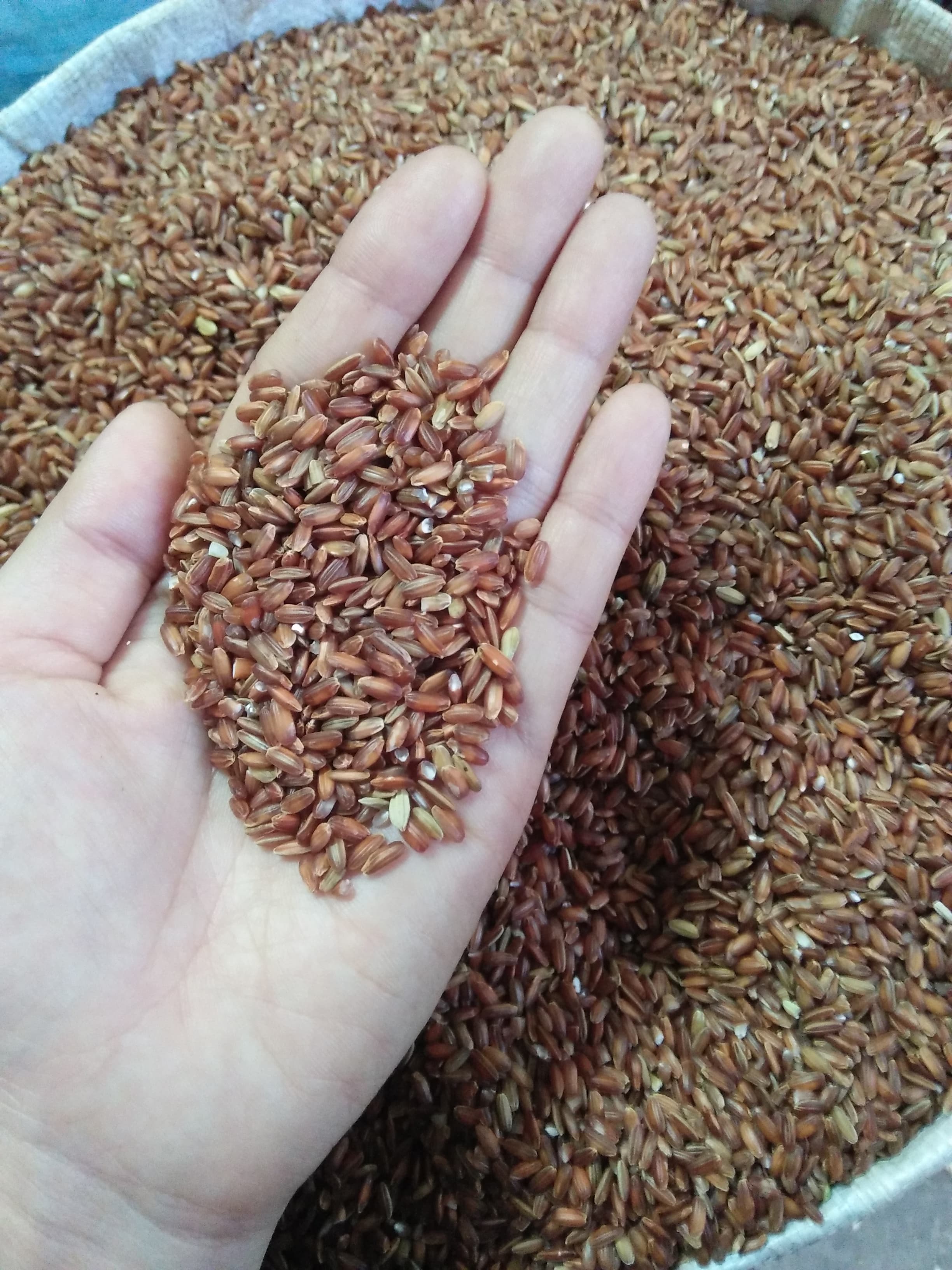 1KG GẠO LỨT HUYẾT RỒNG HỮU CƠ