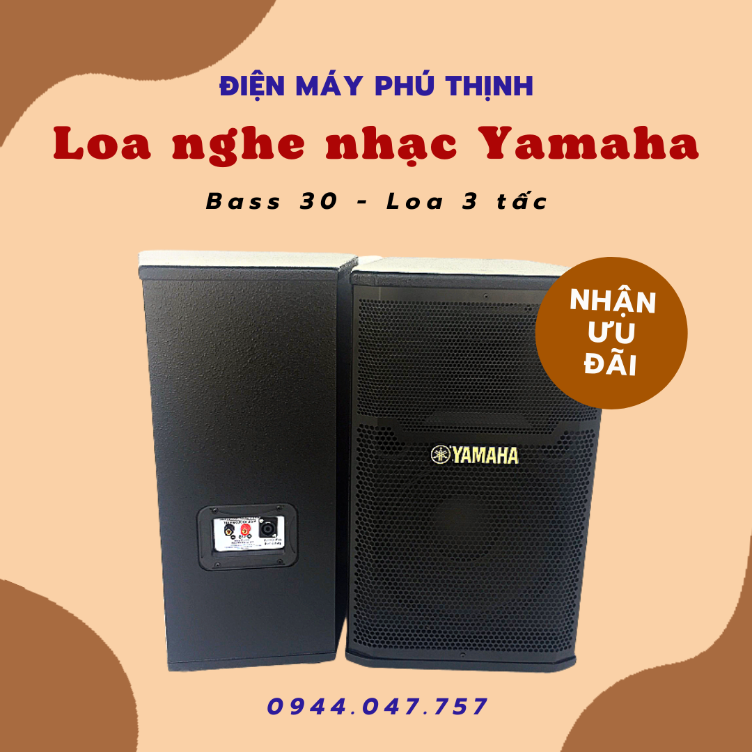 Loa đứng 3 tấc sơn karaoke gia đình YH