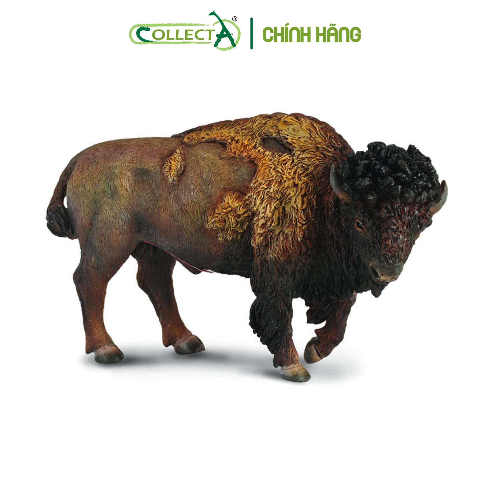 Đồ chơi mô hình động vật CollectA Bò Rừng Bison