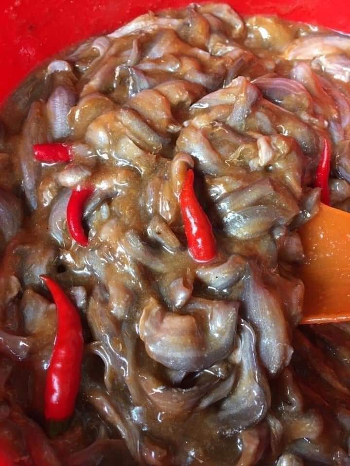 1kg mắm cá chốt, loại 1 đặt biệt thơm ngon, Vựa Khô Chín Khôn