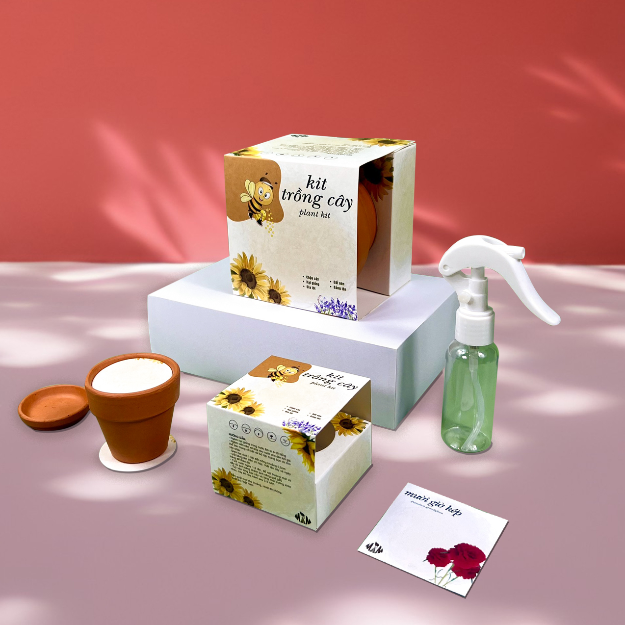 Kit Trồng Cây Mini - Bộ Trồng Cây Hạt Giống hoa mười giờ kép | Plant Kit - Portulaca grandiflora Mầm Xinh