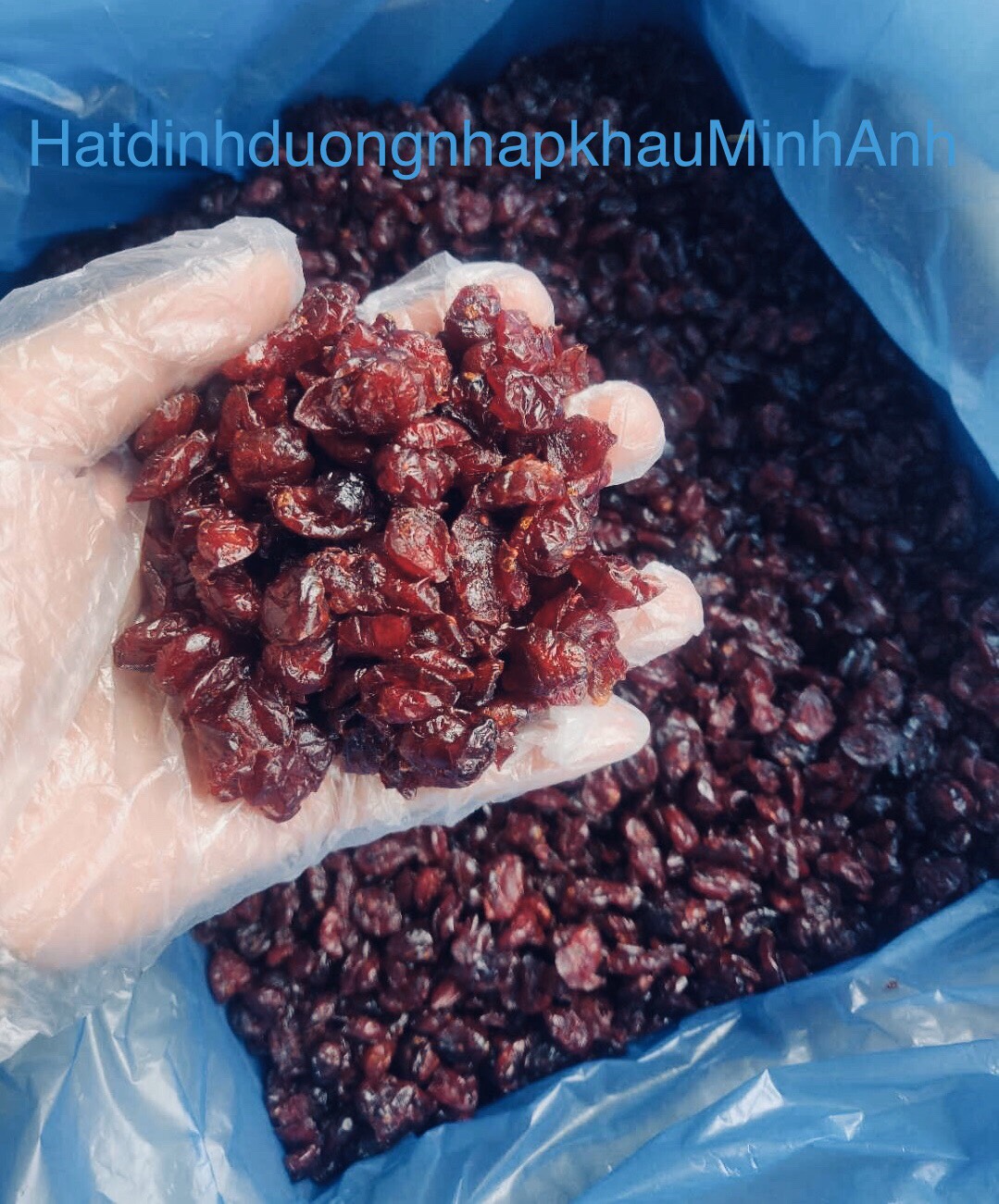 Nam việt quất sấy khô 500g