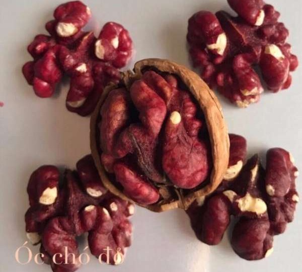 Bộ 2 túi hạt óc chó đỏ cao cấp 500g