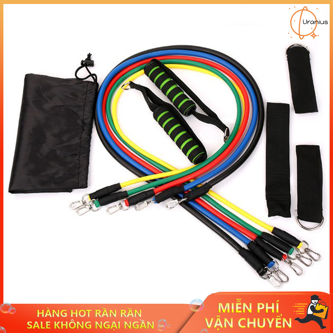 Bộ 5 Dây Đàn Hồi Tập Thể Hình - Dây tập gym - Bộ dây ngũ sắc tập Gym - Dây tập thể dục cao cấp, nhỏ gọn, tiện lợi, tính đàn hồi cao, siêu bền - Hỗ trợ tập thể hình đa năng tại nhà
