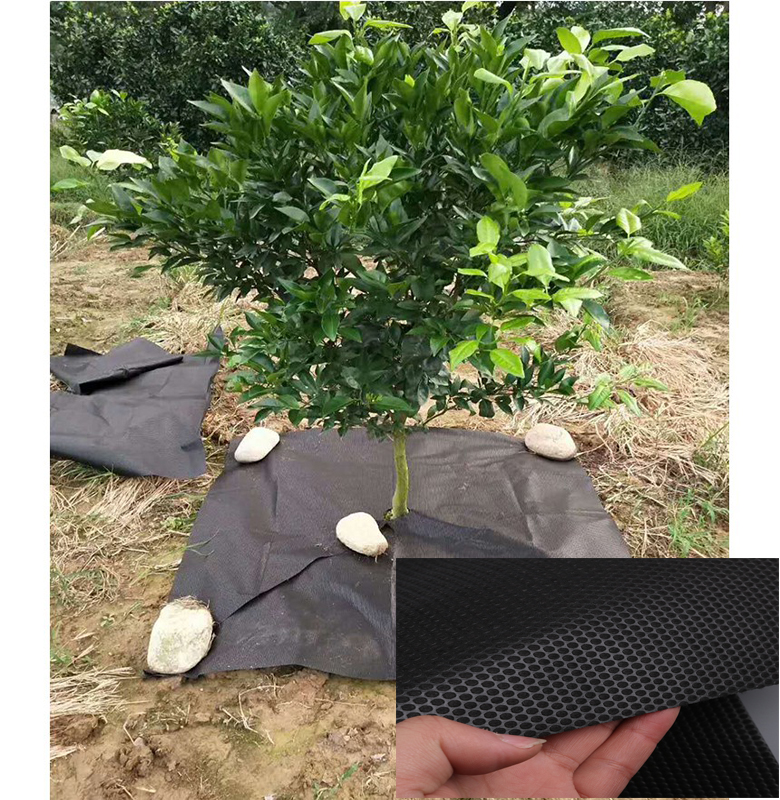 10 cái bạt phủ nông nghiệp 1m2 x 1m2, 10 tấm bạt phủ đất chống cỏ 1M2 X 1M2, Màng kiểm soát cỏ vườn màng phủ đất chống cỏ Bạt phủ gốc cây chống cỏ đa năng Bạt phủ đất chống cỏ dại thấm nước UY TÍN