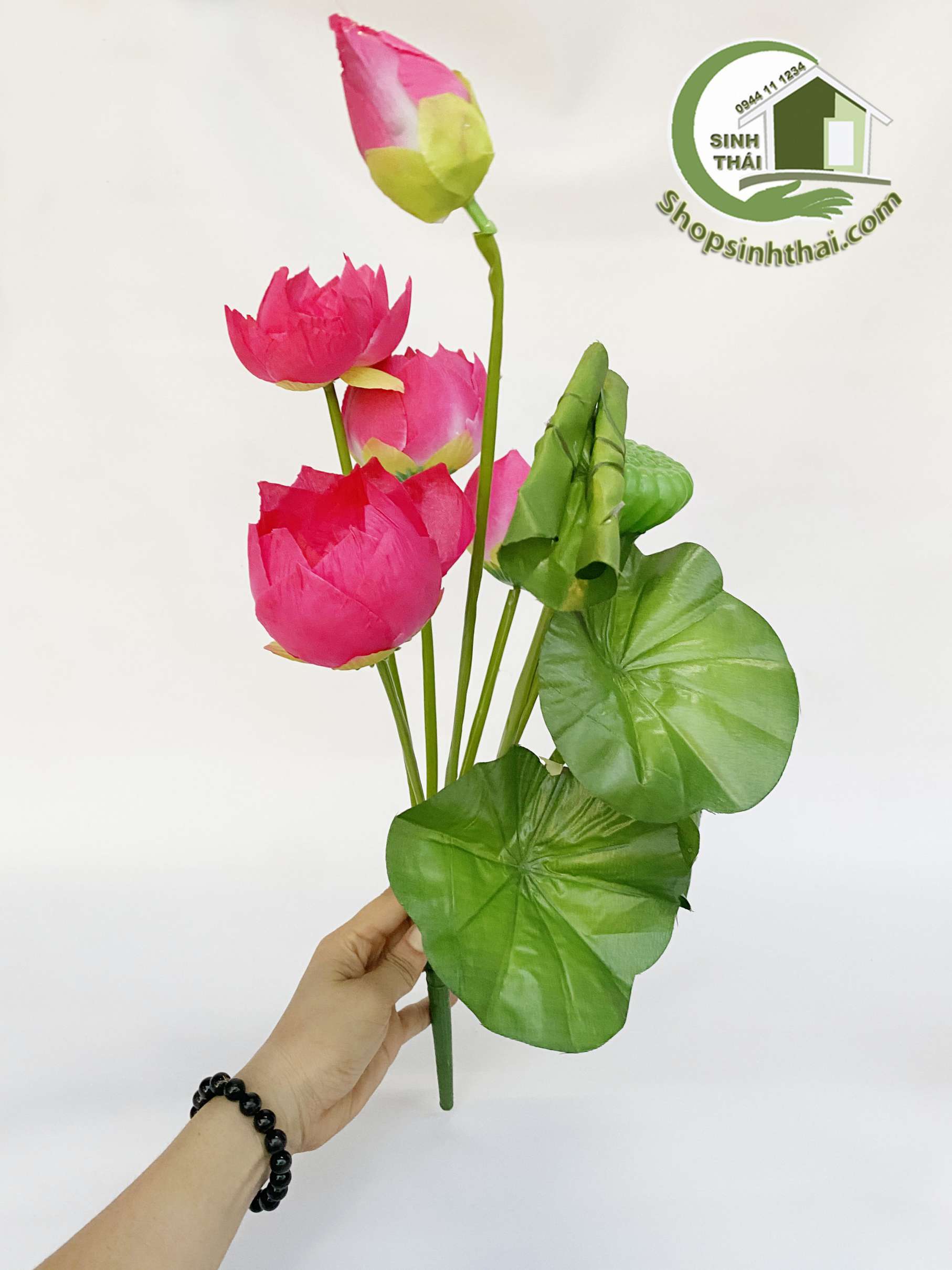Hoa sen giả - Bụi sen lá cuốn lớn