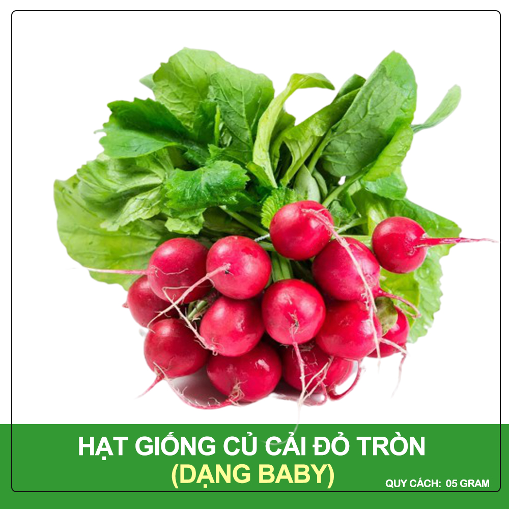 Hạt Giống Củ Cải Đỏ Tròn Phú Nông Gói 5 Gram