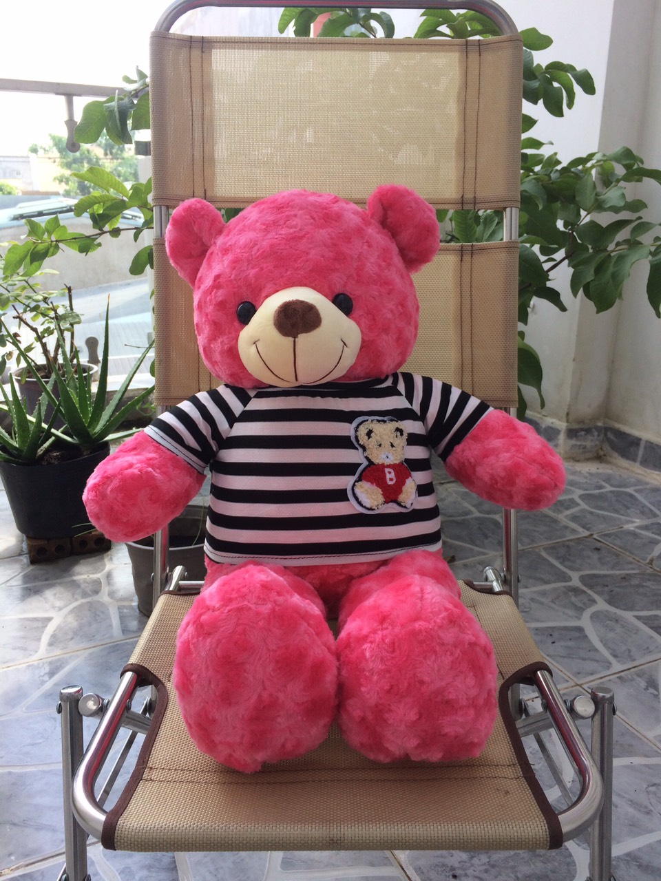 [HCM]Gấu bông Teddy khổ vải 80cm màu Hồng đậm