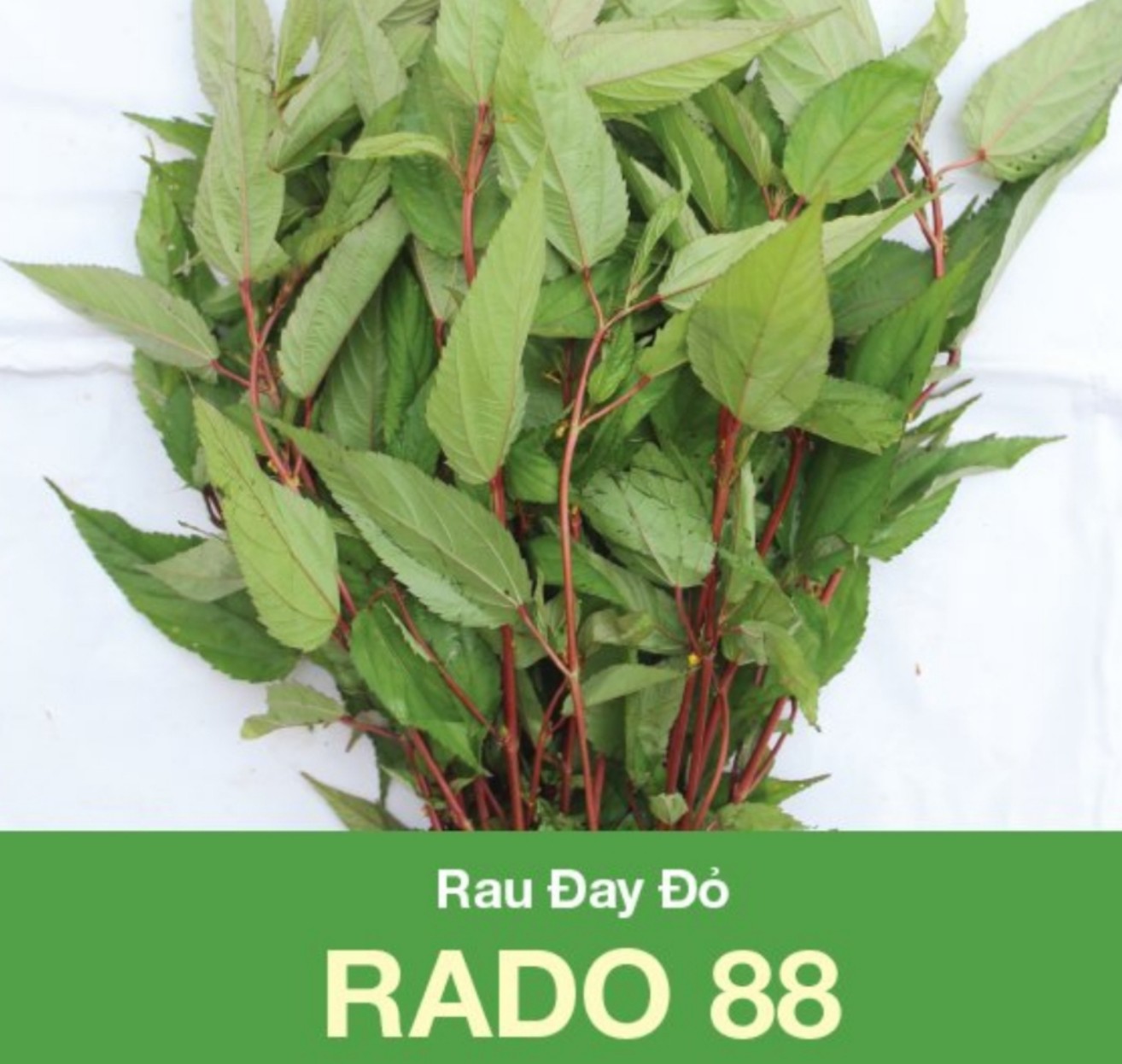 Hạt giống rau đay đỏ cao sản - Mau thu hoạch năng suất cao