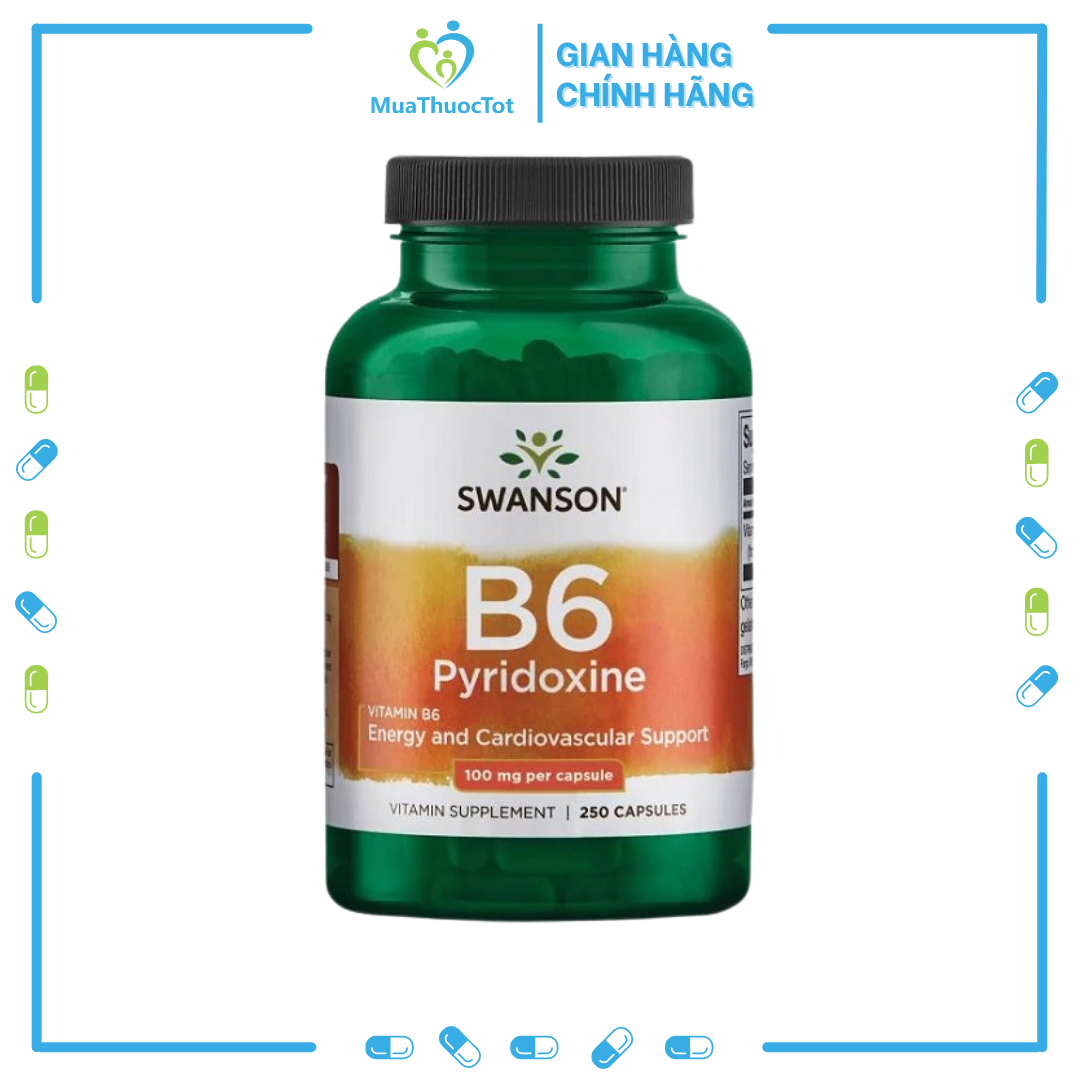 Viên uống bổ sung vitamin b6 swanson vitamin b6 pyridoxine 100mg 250 viên