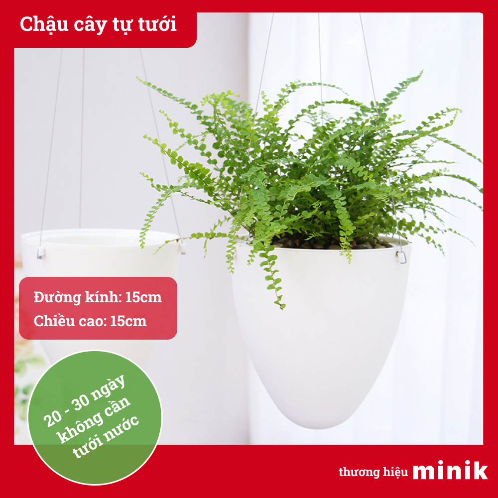 Chậu trồng cây tự dưỡng MINIK, hình trứng treo ban công, với dây cáp và móc treo, chậu thông minh tự tưới, chất liệu nhựa PP tiêu chuẩn Châu Âu, chậu lớn, size 19cm x 20cm