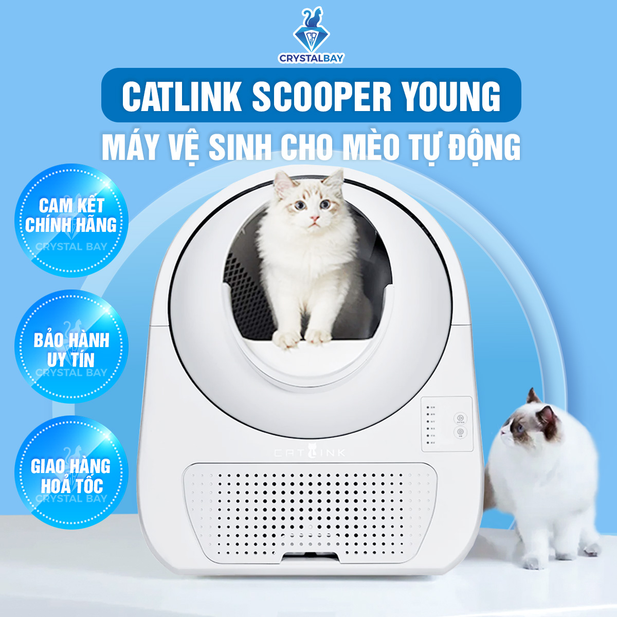 Máy dọn phân mèo tự động CATLINK phiên bản young không wifi