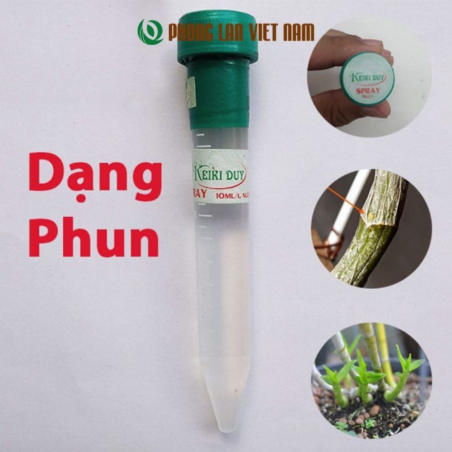 Kie duy xanh kích mầm gốc, kích kie, kích hoa phong lan hiệu quả - Keiki duy xanh 15ml - phonglanvietnam
