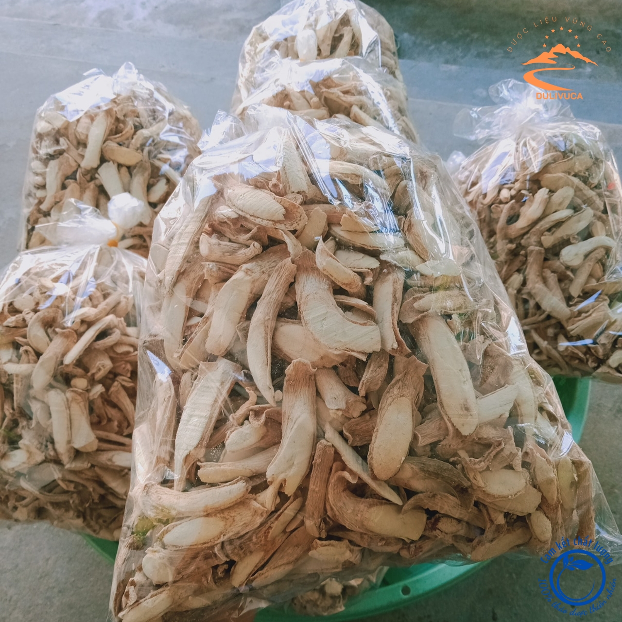 Rễ đinh lăng nếp khô lá nhỏ ngâm rượu, phơi khô từ củ, rễ đinh lăng nếp tươi giúp lợi sữa, tốt cho sức khoẻ