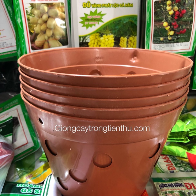 5 CHẬU NHỰA TRỒNG LAN GIẢ GỐM ĐẤT NUNG (Phi 23)