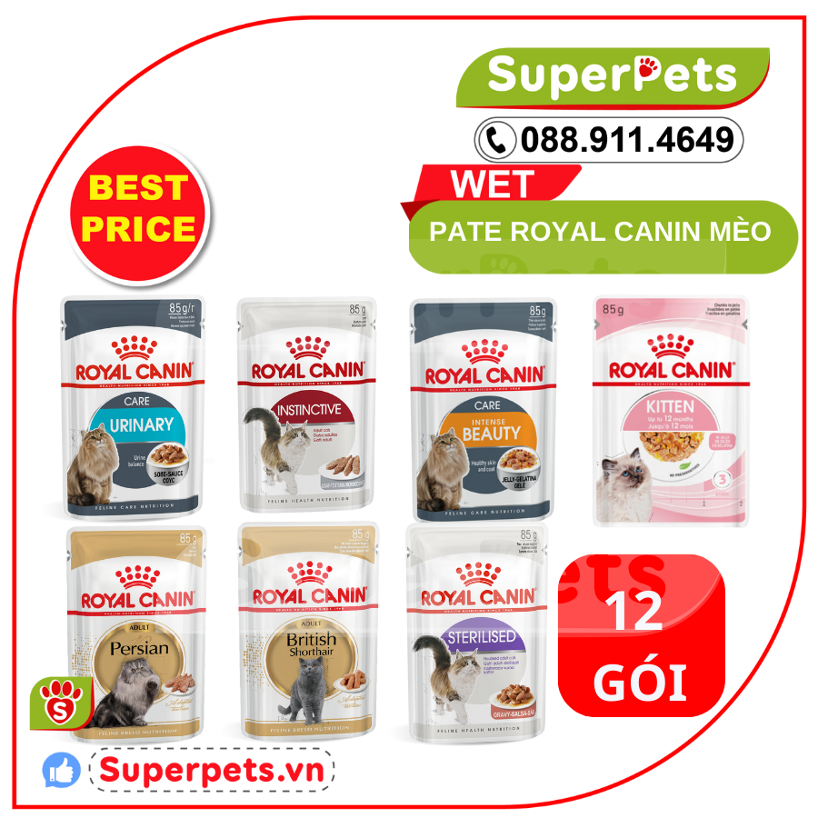 Pate ROYAL CANIN Cho Mèo Hộp 12*85g SUPERPETS VIỆT NAM