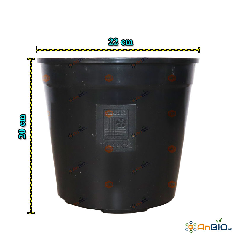 BLOCK 5 CÁI CHẬU NHỰA TRỒNG LAN KIẾM (ĐỊA LAN) | ĐƯỜNG KÍNH 22CM