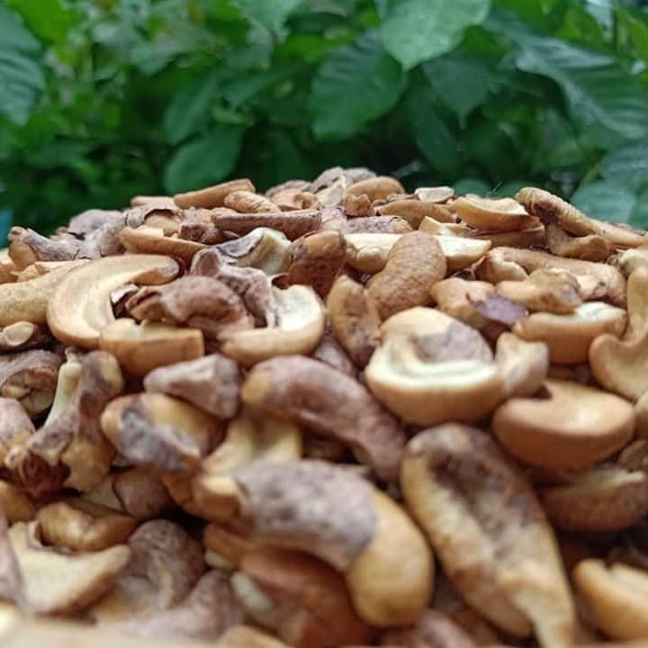1.5kg hạt điều rang muối bể/vỡ đôi/ba/bốn giòn thơm giá cực rẻ