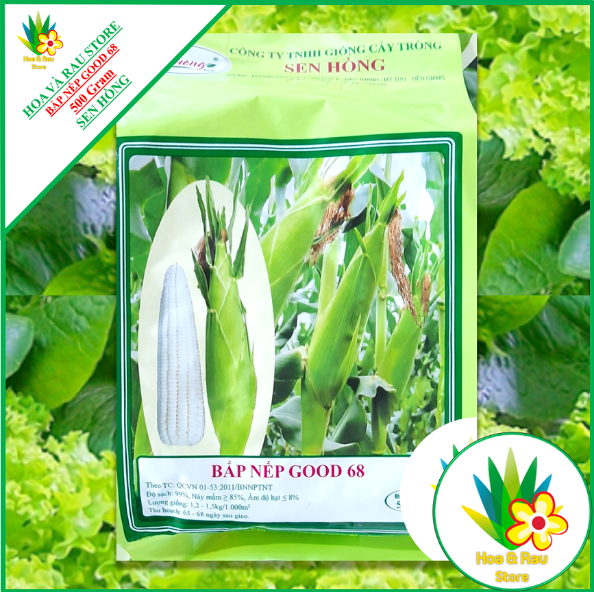 Hạt giống bắp nếp good68 - gói 500gr - sen hồng - hoa và rau store