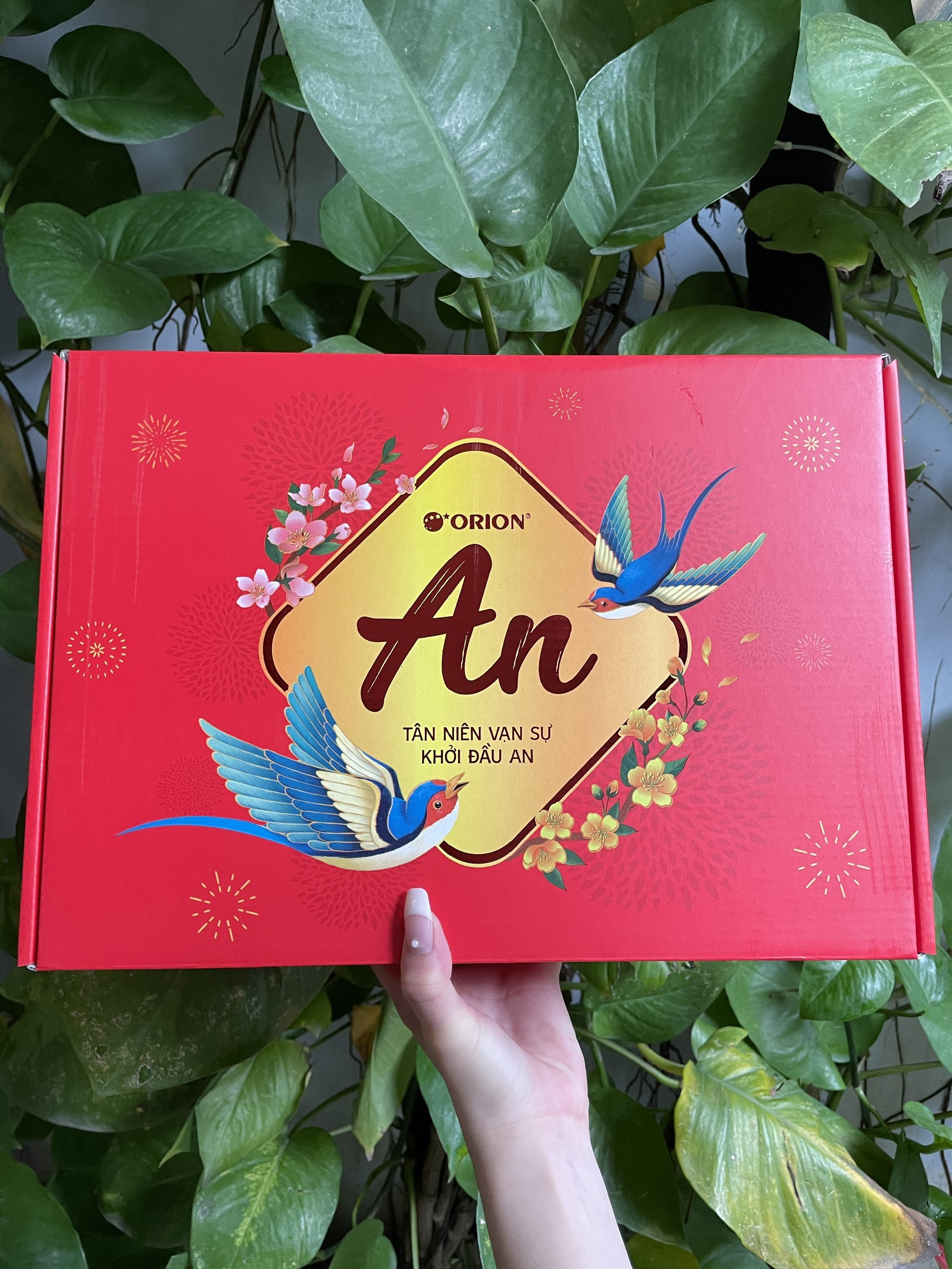 Bộ quà tết orion - bình an i