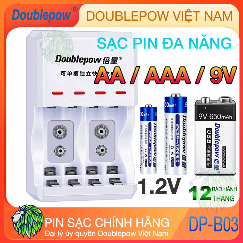 Bộ sạc pin đa năng 9V / 2A / 3A 1.2V - Bộ Sạc Pin AA AAA Doublepow DP-D03