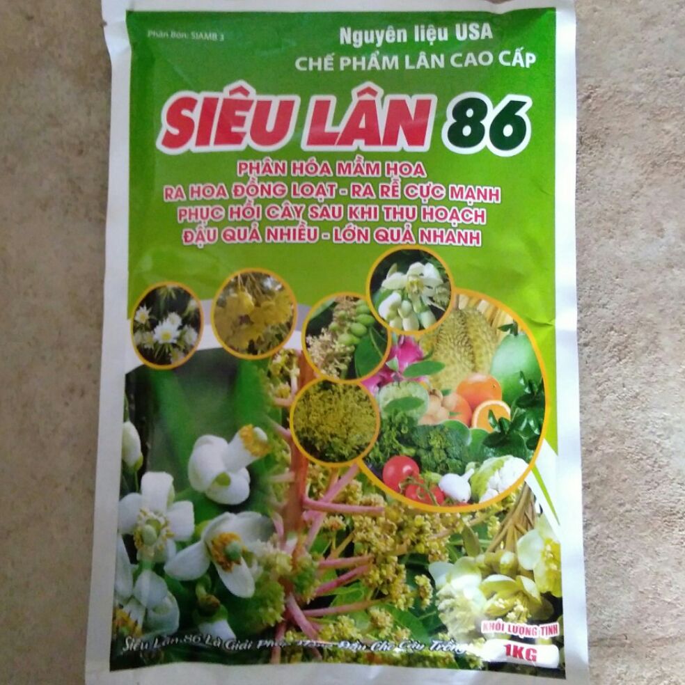 SIÊU LÂN 86