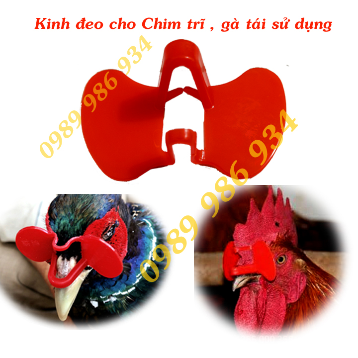 50 Kính đeo cho chim trĩ gà loại kẹp