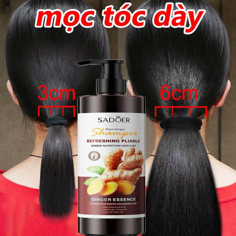 Dầu gội đầu chống rụng tóc dầu gội thảo dược dầu gội dầu gội tươi gừng dầu gội kiềm làm sạch gàu ngứa thảo dược phòng ngừa