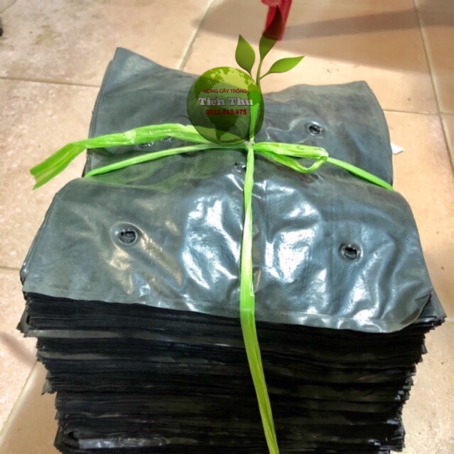 Túi bầu ươm cây giống 1kg