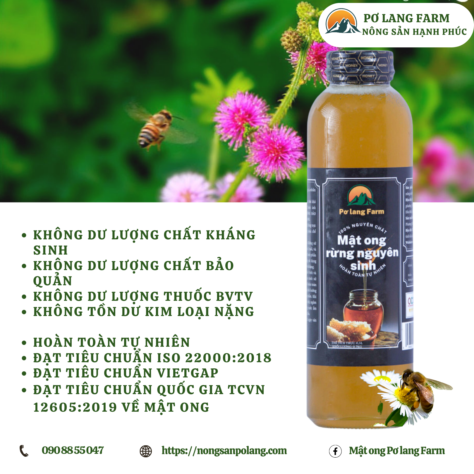 Mật ong hoa rừng nguyên sinh - Pơ lang Farm - 500ml