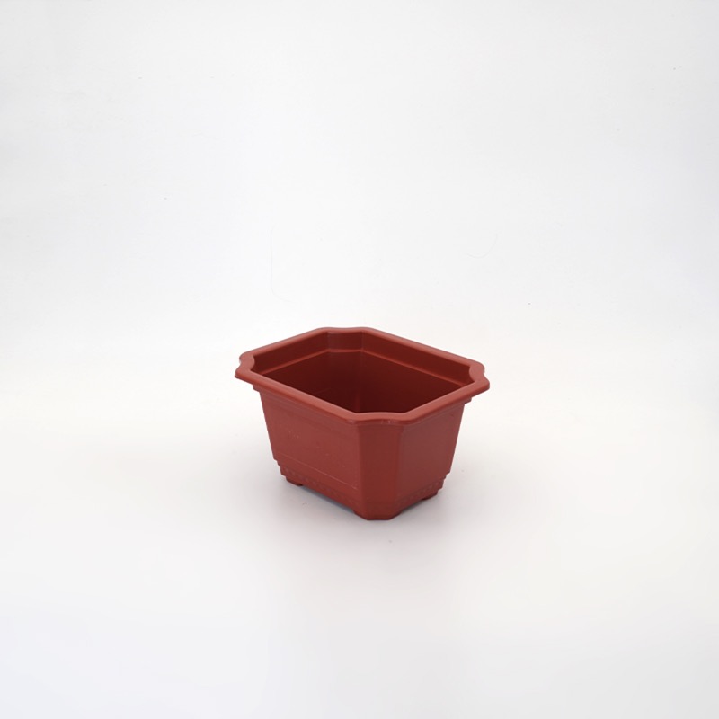 Ang nhựa trồng bonsai sâu lòng size bé 22cm x 11cm x 12cm