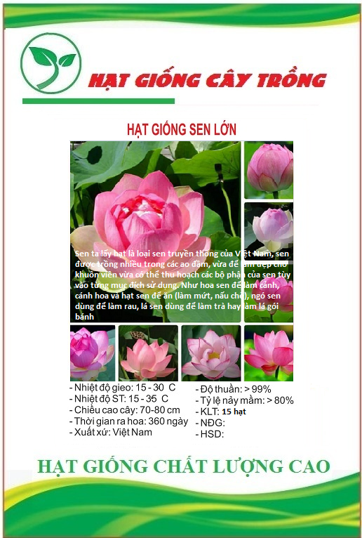 Hạt giống hoa sen lớn mix màu ct52 - gói 15 hạt