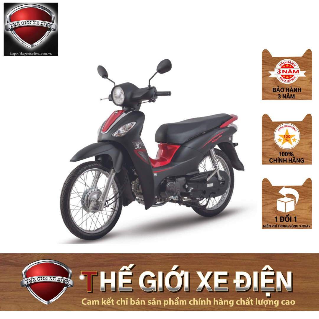 Angela 50cc giá rẻ Tháng 9,2023|BigGo Việt Nam