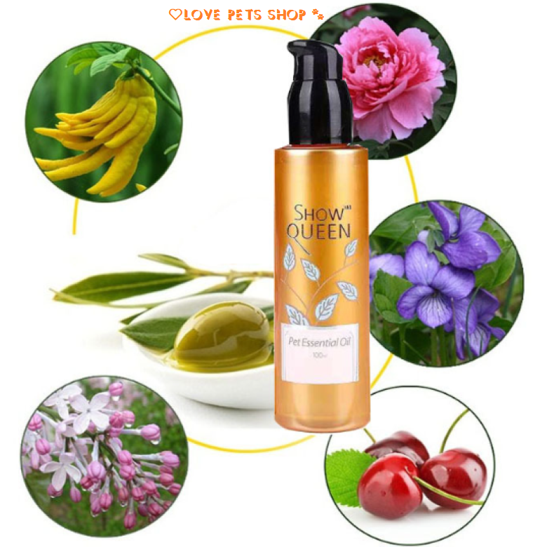 Tinh dầu dưỡng lông cho chó mèo Show queen chai 100ml (mẫu mới) - Love Pets Shop