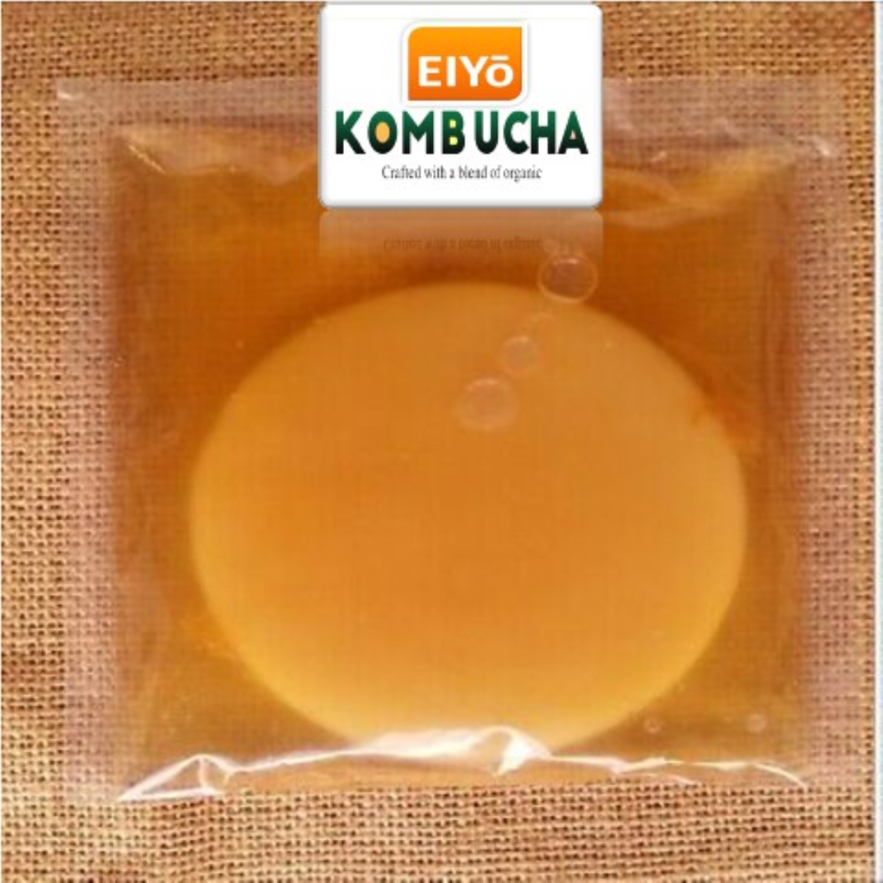 Combo SCOBY 5 món cho người mới (Giống SCOBY Trà Đen Trà xanh Đường Mía Nước mồi) chuẩn Organic làm trà Kombucha
