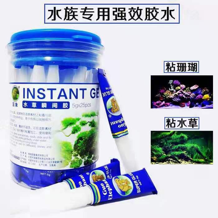 Keo dán rêu và dán san hô nhanh cho bể thủy sinh hiệu con voi